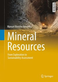 bokomslag Mineral Resources