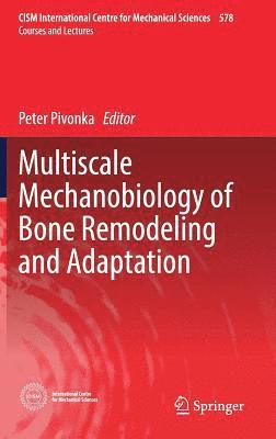 Peter Pivonka - Multiscale Mechanobiology of Bone Remodeling and Adaptation, Inbunden