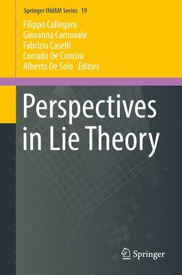 bokomslag Perspectives in Lie Theory