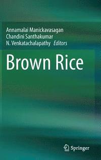 bokomslag Brown Rice