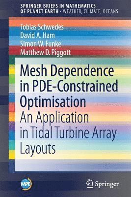 bokomslag Mesh Dependence in PDE-Constrained Optimisation