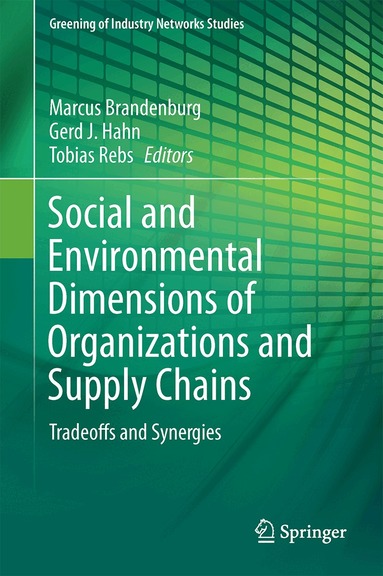 Marcus Brandenburg, Gerd J. Hahn, Tobias Rebs - Social and Environmental Dimensions of Organizations and Supply Chains, Inbunden