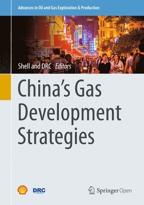 bokomslag China's Gas Development Strategies