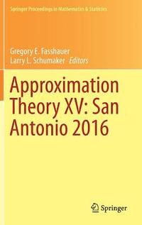 bokomslag Approximation Theory XV: San Antonio 2016