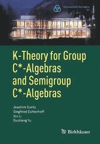bokomslag K-Theory for Group C*-Algebras and Semigroup C*-Algebras