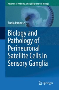 bokomslag Biology and Pathology of Perineuronal Satellite Cells in Sensory Ganglia