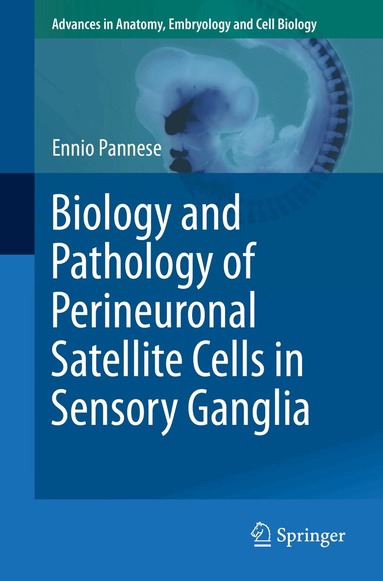 Ennio Pannese - Biology and Pathology of Perineuronal Satellite Cells in Sensory Ganglia, Häftad
