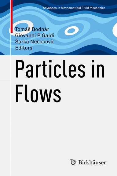 Tomáš Bodnár, Giovanni P. Galdi, Šárka Nečasová - Particles in Flows, Inbunden