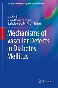 bokomslag Mechanisms of Vascular Defects in Diabetes Mellitus