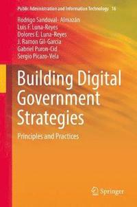 bokomslag Building Digital Government Strategies