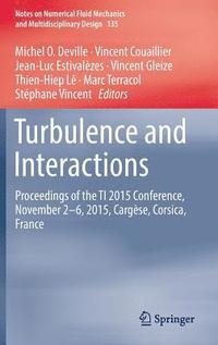 bokomslag Turbulence and Interactions