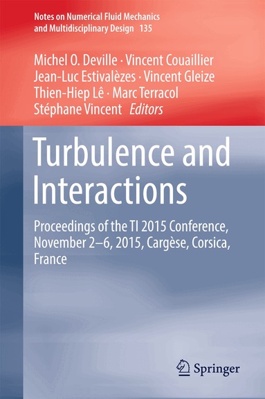 Michel O. Deville, Vincent Couaillier, Jean-Luc Estivalezes, Vincent Gleize, Thiên HiêpLê, Marc Terracol, Stéphane Vincent - Turbulence and Interactions, Inbunden