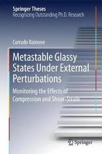 bokomslag Metastable Glassy States Under External Perturbations