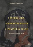 Nationalism, Transnationalism, and Political Islam: Hizbullah's Institutional Identity