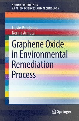 Graphene Oxide in Environmental Remediation Process 1