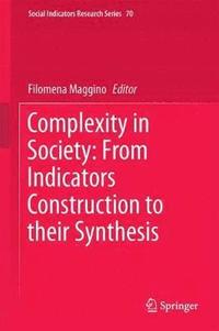 bokomslag Complexity in Society: From Indicators Construction to their Synthesis