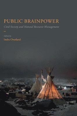 bokomslag Public Brainpower