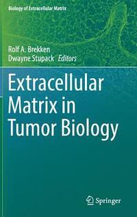 bokomslag Extracellular Matrix in Tumor Biology