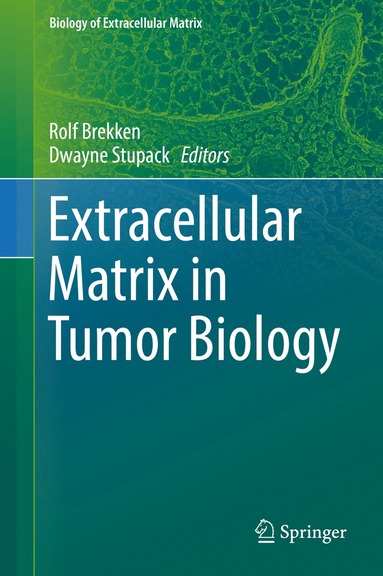 bokomslag Extracellular Matrix in Tumor Biology