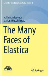 bokomslag The Many Faces of Elastica