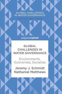 bokomslag Global Challenges in Water Governance