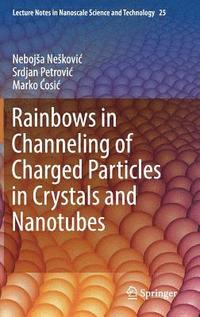 bokomslag Rainbows in Channeling of Charged Particles in Crystals and Nanotubes
