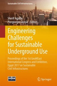 bokomslag Engineering Challenges for Sustainable Underground Use