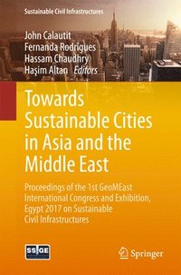 bokomslag Towards Sustainable Cities in Asia and the Middle East