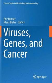 bokomslag Viruses, Genes, and Cancer