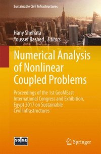 bokomslag Numerical Analysis of Nonlinear Coupled Problems
