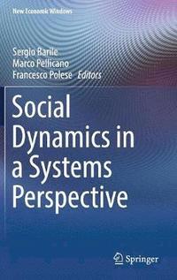 bokomslag Social Dynamics in a Systems Perspective