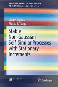 bokomslag Stable Non-Gaussian Self-Similar Processes with Stationary Increments
