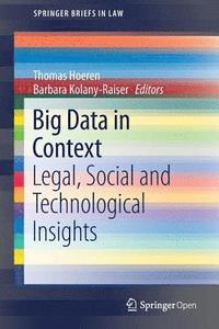 bokomslag Big Data in Context