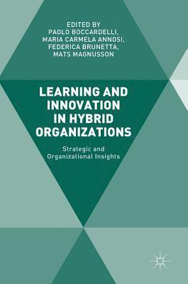 bokomslag Learning and Innovation in Hybrid Organizations