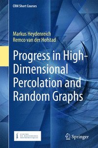 bokomslag Progress in High-Dimensional Percolation and Random Graphs