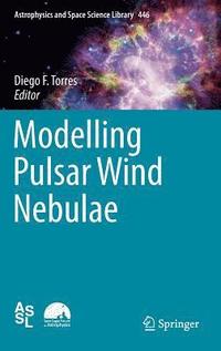 bokomslag Modelling Pulsar Wind Nebulae