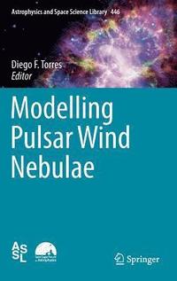 bokomslag Modelling Pulsar Wind Nebulae