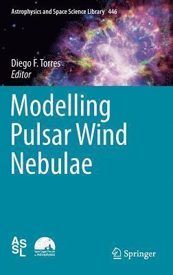 bokomslag Modelling Pulsar Wind Nebulae