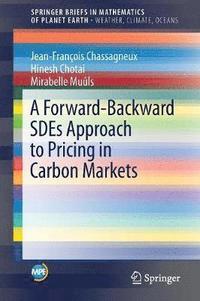 bokomslag A Forward-Backward SDEs Approach to Pricing in Carbon Markets