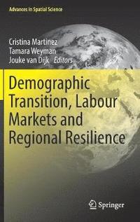 bokomslag Demographic Transition, Labour Markets and Regional Resilience