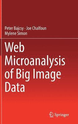 Web Microanalysis of Big Image Data 1