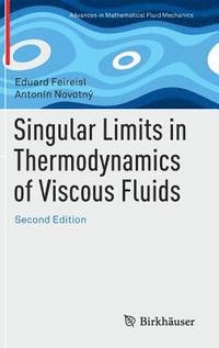 bokomslag Singular Limits in Thermodynamics of Viscous Fluids