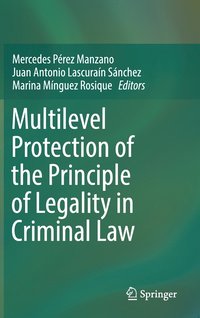 bokomslag Multilevel Protection of the Principle of Legality in Criminal Law