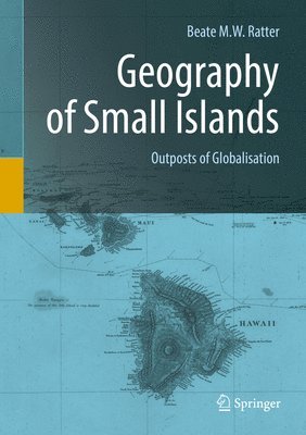 bokomslag Geography of Small Islands