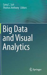 bokomslag Big Data and Visual Analytics
