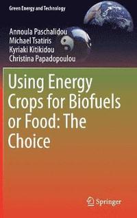 bokomslag Using Energy Crops for Biofuels or Food: The Choice