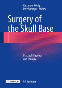 bokomslag Surgery of the Skull Base