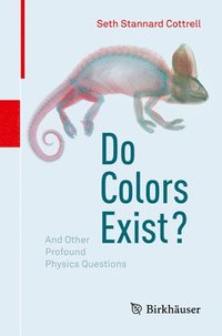 bokomslag Do Colors Exist?