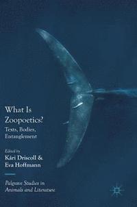 bokomslag What Is Zoopoetics?