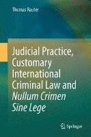 bokomslag Judicial Practice, Customary International Criminal Law and Nullum Crimen Sine Lege